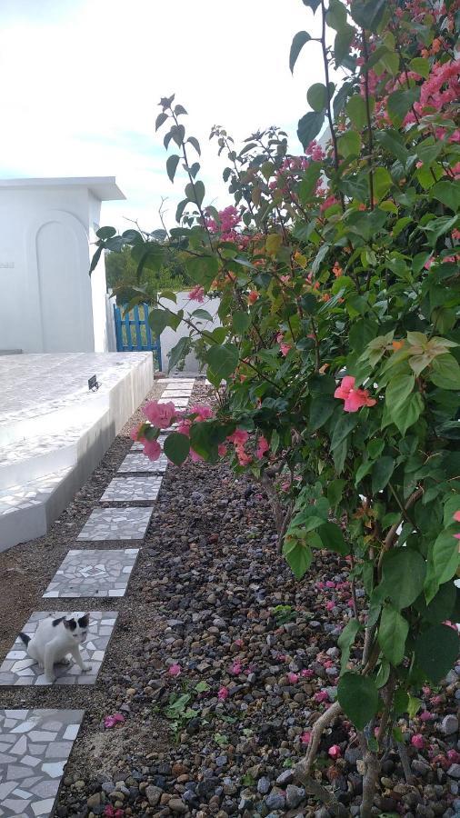 Anjo Maumere Hotel & Restaurant מראה חיצוני תמונה